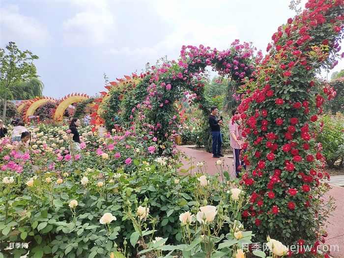 打造庭院花园的施工步骤(图1)