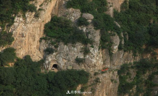 河南五个绿色“海洋”,在20度的森林中呼吸,让你流连忘返(图8) 河南五个绿色“海洋”,在20度的森林中呼吸,让你流连忘返(图8)