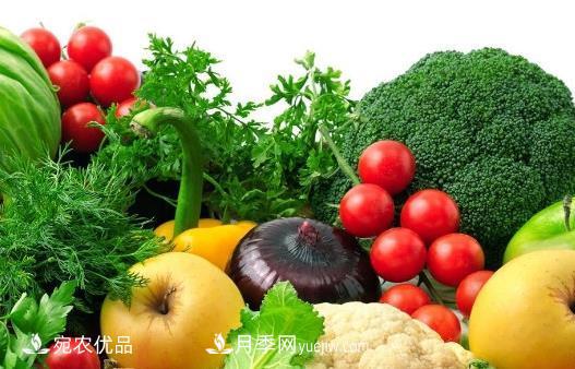 厉害了,南阳市有机产品证书量居全国地级市第一(图1) 厉害了,南阳市有机产品证书量居全国地级市第一(图1)