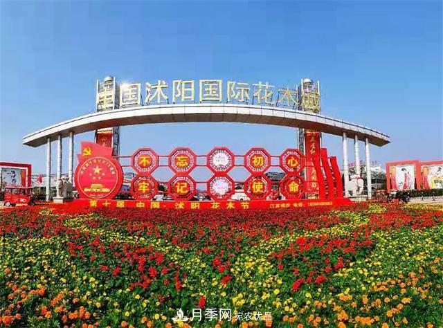 这些中国著名苗木产地你知道几个?值得收藏!(图2) 这些中国著名苗木产地你知道几个?值得收藏!(图2)