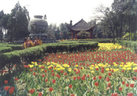 河南省人口最多、面积最大的地级市(图3)