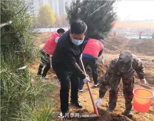 郑州巩义:4000多人栽下25000多棵苗木(图2) 郑州巩义:4000多人栽下25000多棵苗木(图2)