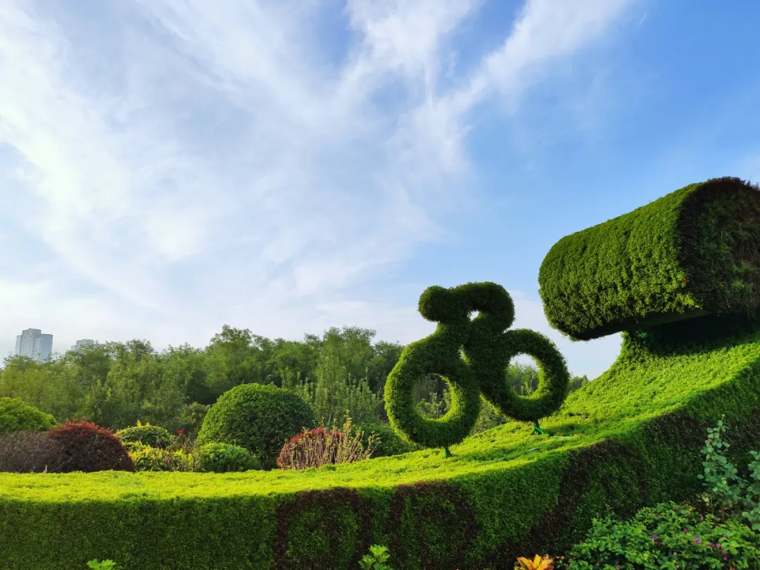 这种高颜值、高利润的苗木，竟然缺点不少(图1)