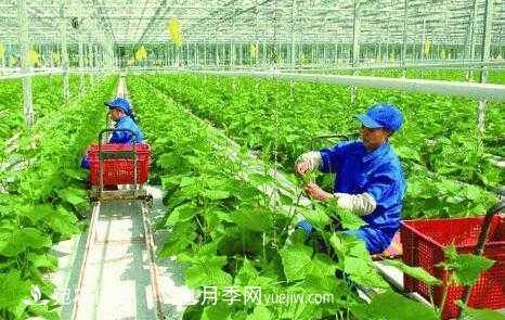 南阳有机农业全国第一是怎样炼成的？南水北调水源地生态农业见闻(图1)