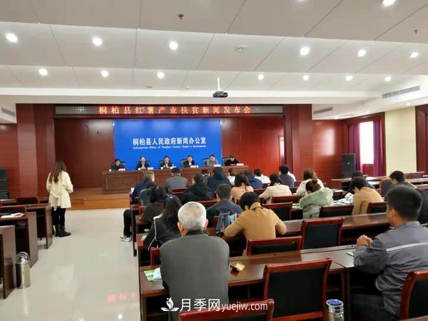 南阳桐柏:小小红薯做出脱贫致富 红薯产业发展方兴未艾(图2) 南阳桐柏:小小红薯做出脱贫致富 红薯产业发展方兴未艾(图2)