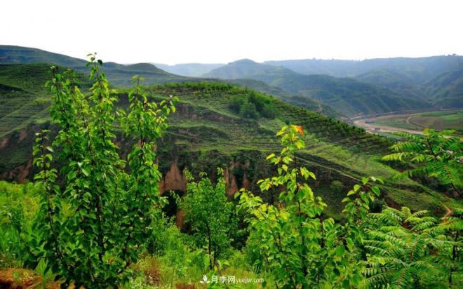 “退林还耕”政策下,教你三点弄清“农村土地确权”问题(图1) “退林还耕”政策下,教你三点弄清“农村土地确权”问题(图1)