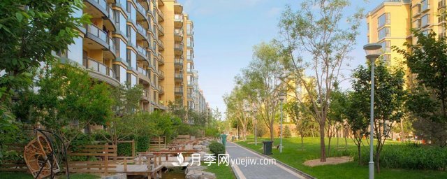 绿地率和绿化率的区别(图1)