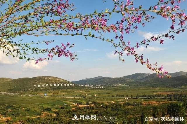 安徽淮北旅游,9个必去的景点盘点(图1) 安徽淮北旅游,9个必去的景点盘点(图1)