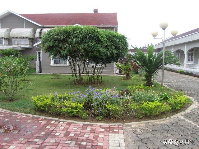 园林绿化是国家战略,利润很高,了解行业标准财富滚滚来(图2) 园林绿化是国家战略,利润很高,了解行业标准财富滚滚来(图2)