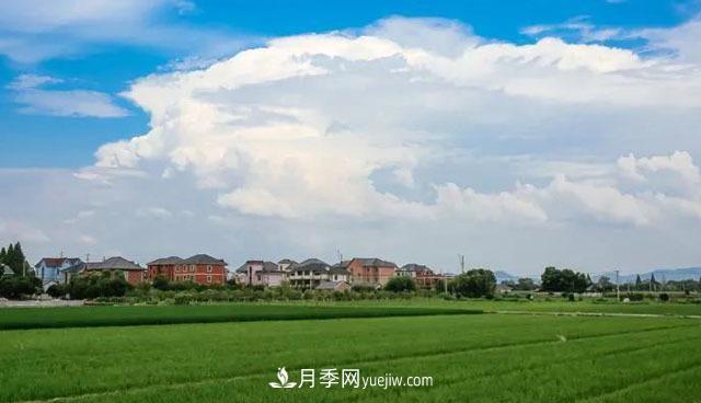 注意,2021年农田5不准:违规罚上万,关系户都没用(图1) 注意,2021年农田5不准:违规罚上万,关系户都没用(图1)