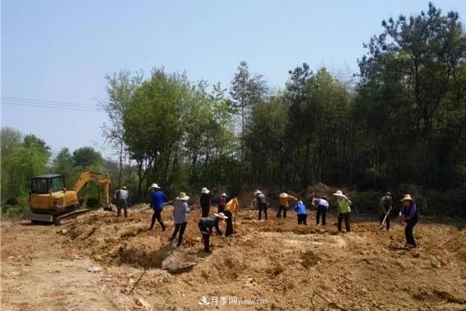 注意,2021年农田5不准:违规罚上万,关系户都没用(图2) 注意,2021年农田5不准:违规罚上万,关系户都没用(图2)