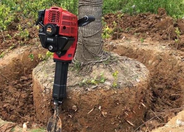 大树土球破损散球移栽后,几个诀窍快速提高复壮能力(图4) 大树土球破损散球移栽后,几个诀窍快速提高复壮能力(图4)