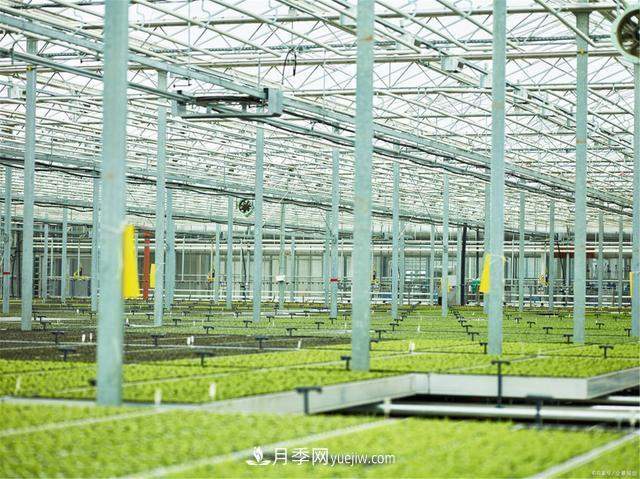 大雪时节已来到,保护苗木必不可少(图2) 大雪时节已来到,保护苗木必不可少(图2)