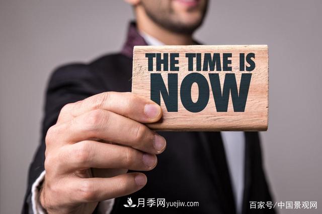 “站在风口上，猪都能飞起来！”园林苗木行业的下一个风口在哪？(图1)