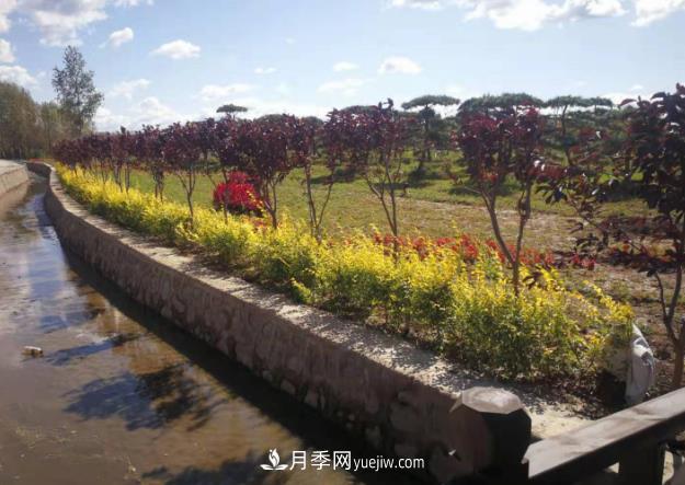 吉林长春波泥河“苗木之乡”的“共享经济学”(图1) 吉林长春波泥河“苗木之乡”的“共享经济学”(图1)