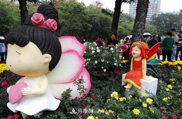 好多年没到深圳人民公园看月季花展了,不知今年如何(图4) 好多年没到深圳人民公园看月季花展了,不知今年如何(图4)