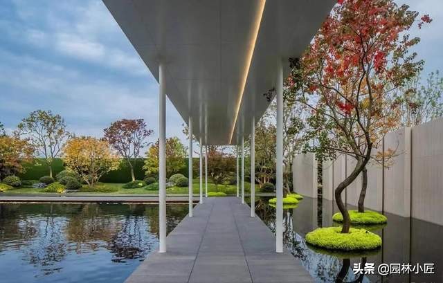 金叶佛甲草在园林景观中的应用(图3) 金叶佛甲草在园林景观中的应用(图3)