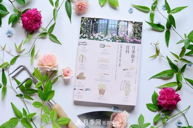 《月季新手百科》,不只是给新手看的月季百科宝典(图2) 《月季新手百科》,不只是给新手看的月季百科宝典(图2)