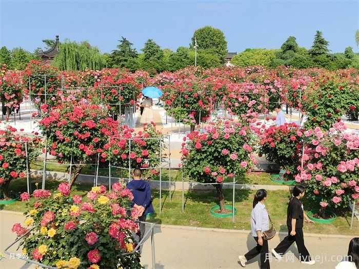 风景园林的未来会变好吗？重新定义(图2)