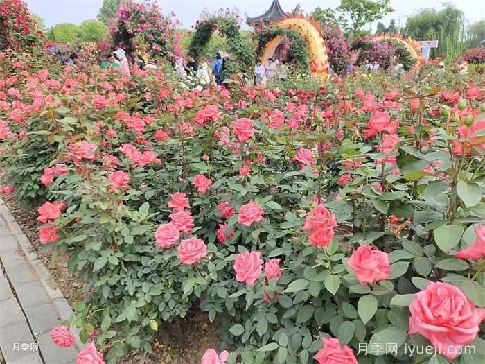 风景园林的未来会变好吗？重新定义(图1)