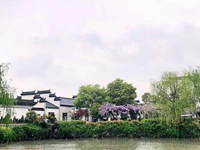 涵境园艺震撼来袭!江南山水园林意境引爆品牌传播,成就极致自然美学! 涵境园艺震撼来袭!江南山水园林意境引爆品牌传播,成就极致自然美学!