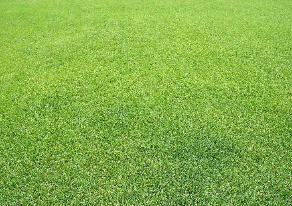 resized-t012c2e5ca0df7e45c1.jpg resized-t012c2e5ca0df7e45c1.jpg