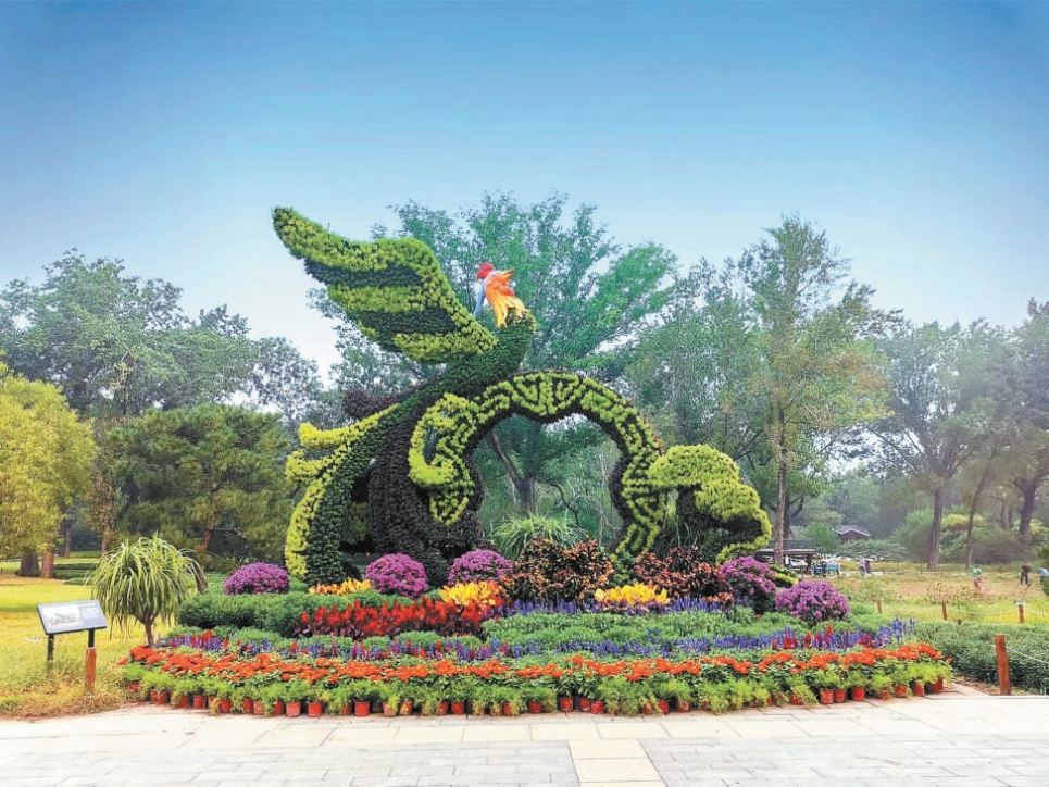 resized-R-C (3) (1).jpg resized-R-C (3) (1).jpg