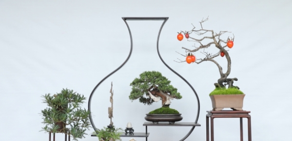 如皋花木园艺师:从盆景艺术到乡村振兴的劳务品牌 resized-微信图片_20251128140107_671_39.jpg