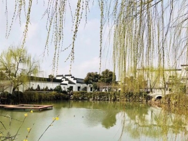 江南园林震撼揭示!自然与人文的诗意交融,涵境园艺的设计传承! resized-微信图片_20251128140210_681_39.jpg