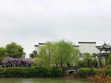 涵境园艺震撼来袭!江南山水园林意境引爆品牌传播,成就极致自然美学! resized-微信图片_20251128140256_686_39.jpg