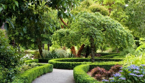 水景园艺震撼来袭!涵境园艺打造梦幻水景空间,私家庭院与商业空间完美融合! resized-微信图片_20251128141802_696_39.jpg