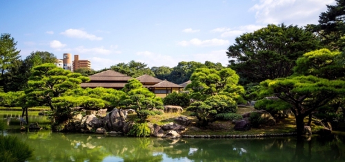 水景园艺震撼来袭!涵境园艺打造梦幻水景空间,私家庭院与商业空间完美融合! resized-微信图片_20251128141802_698_39.jpg