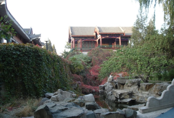 新中式园艺设计与场景化运营:涵境园艺的品牌创新 resized-微信图片_20251128143240_702_39.jpg