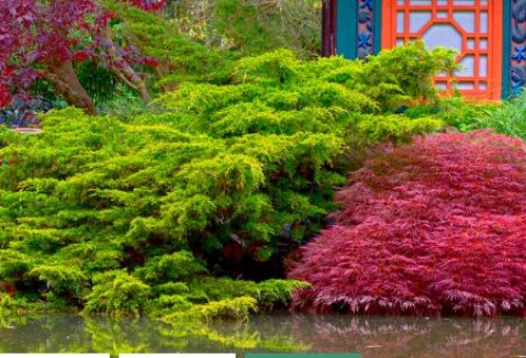 震撼都市!涵境园艺打造“绿肺+艺术花境”完美融合,城市新地标火爆登场! resized-微信图片_20251128144645_729_39.jpg