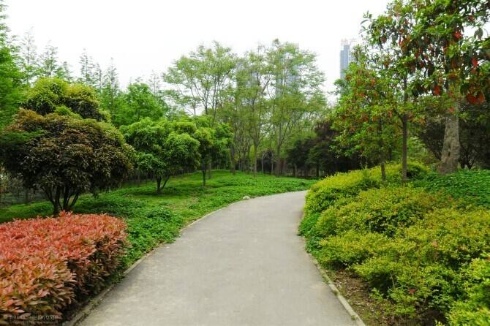 江南古典园林再现！涵境园艺私家园林景观项目，打造顶级奢华生活空间