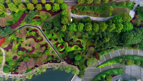 禅意中式庭院震撼登场！涵境园艺打造最具文化韵味的休闲空间！