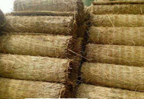 resized-微信图片_20251128152045_764_39.jpg resized-微信图片_20251128152045_764_39.jpg