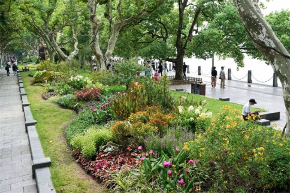 花境布置全攻略:从植物选择到配色设计 resized-e6e47351-f2dc-4e2a-a40c-a66411e7df65.jpg